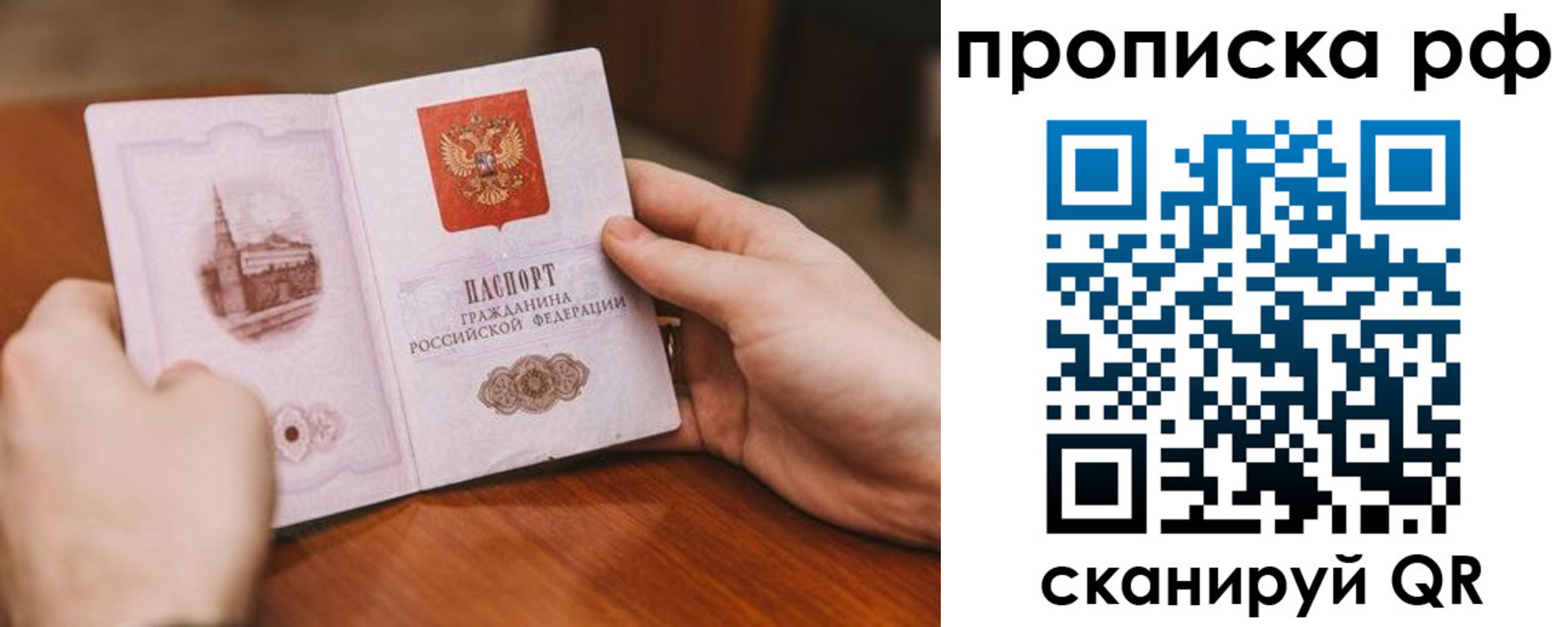 прописка поиск в Электрогорске